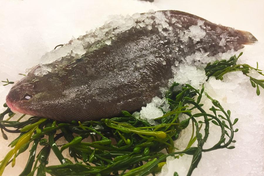 Sole de Douvres congelée - 500 gr